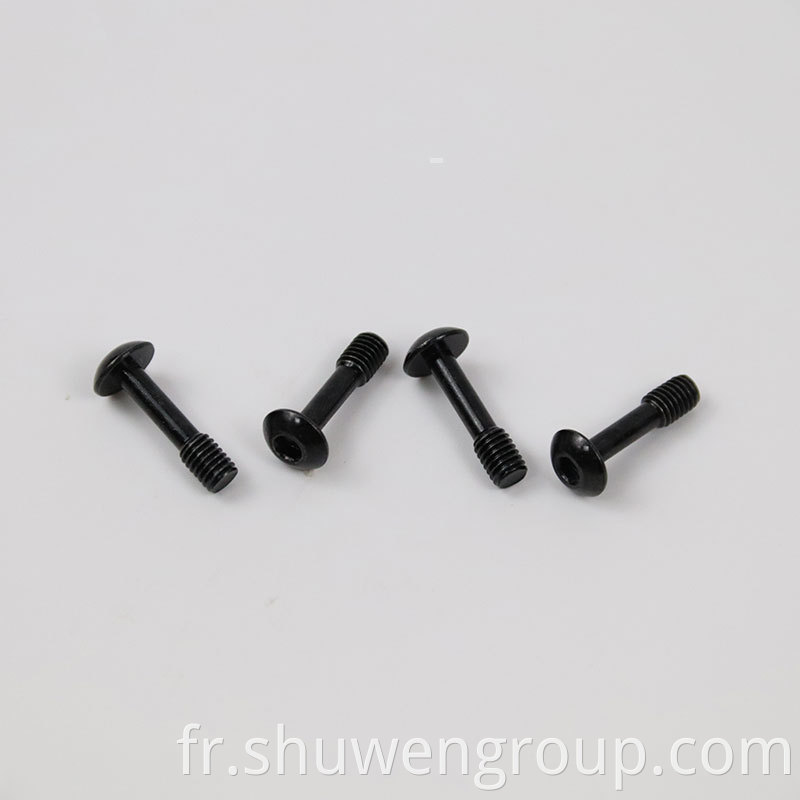 Black Zinc Screws